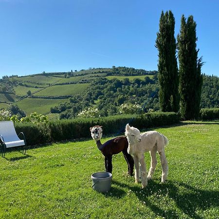 Villa Rignana Chianti Estate, Pool, Tennis,Cook Greve in Chianti Exterior foto